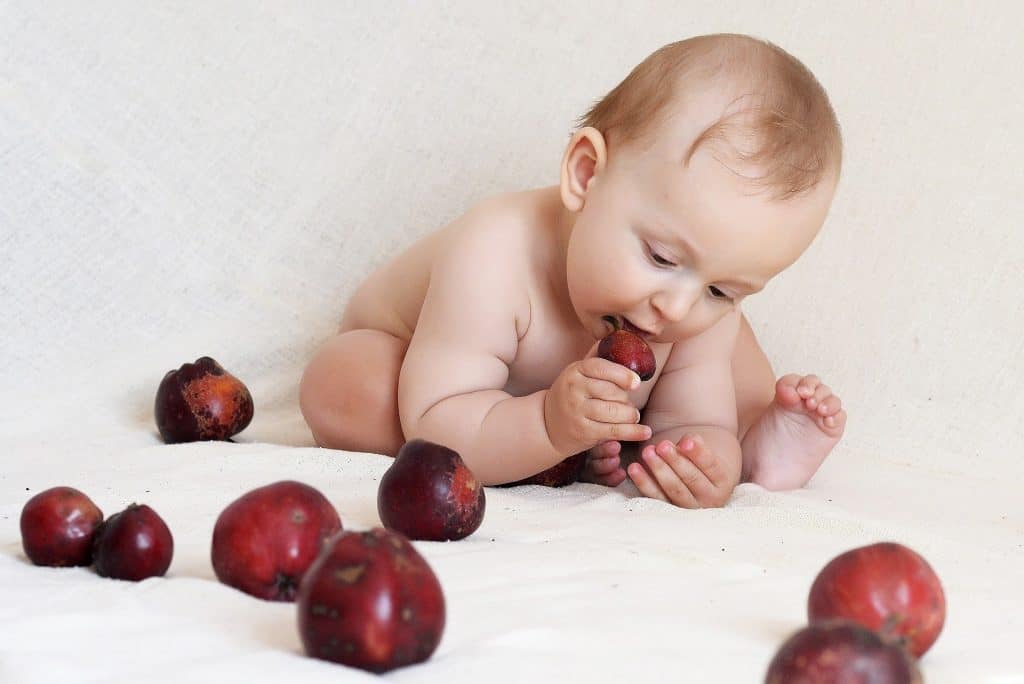 Quais as recomendações alimentares para crianças de 8 meses a 2 anos de idade?