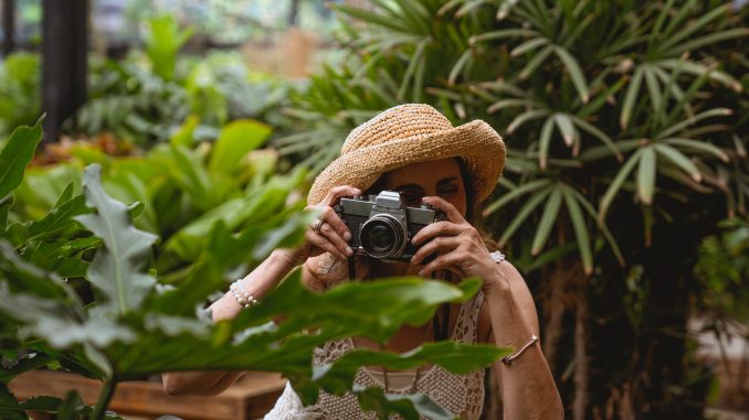 Ter plantas em casa Ter plantas em casa