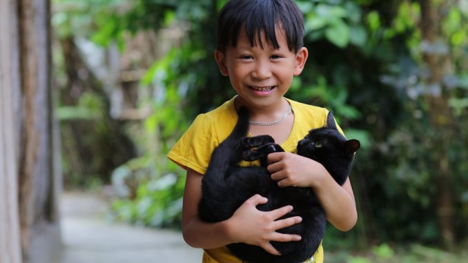 pexels-hong-son-10699249 Bichinhos