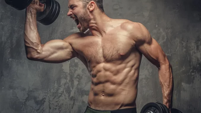 Musculação Hipertrofia esteroide anabolizantes