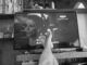 TV 50 4K